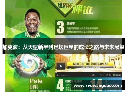 加克波：从天赋新星到足坛巨星的成长之路与未来展望