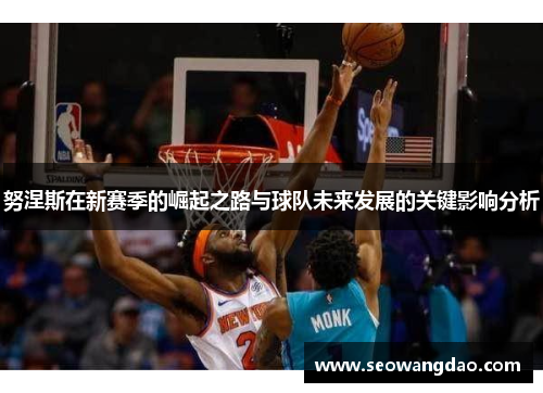 努涅斯在新赛季的崛起之路与球队未来发展的关键影响分析