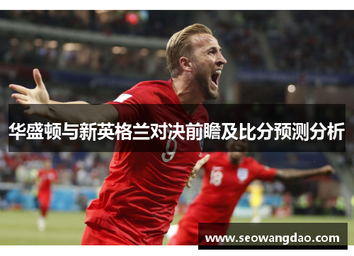 华盛顿与新英格兰对决前瞻及比分预测分析