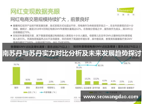 南苏丹与苏丹实力对比分析及未来发展趋势探讨