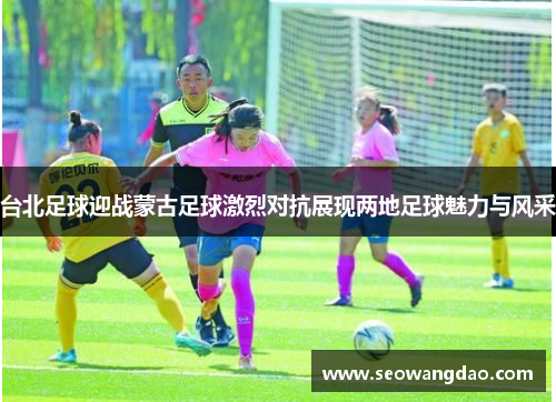 台北足球迎战蒙古足球激烈对抗展现两地足球魅力与风采