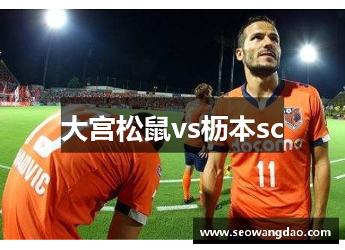 大宫松鼠vs枥本sc