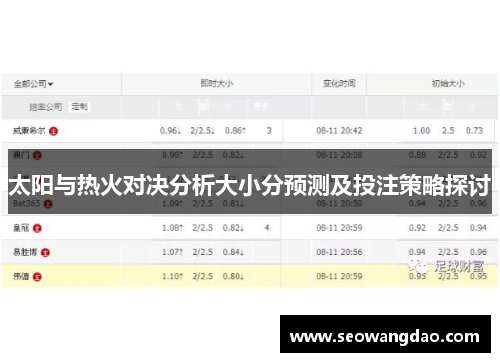 太阳与热火对决分析大小分预测及投注策略探讨