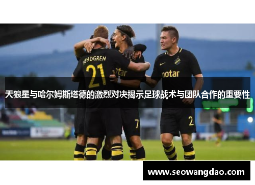 天狼星与哈尔姆斯塔德的激烈对决揭示足球战术与团队合作的重要性