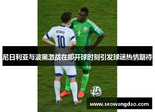 尼日利亚与波黑激战在即开球时刻引发球迷热情期待