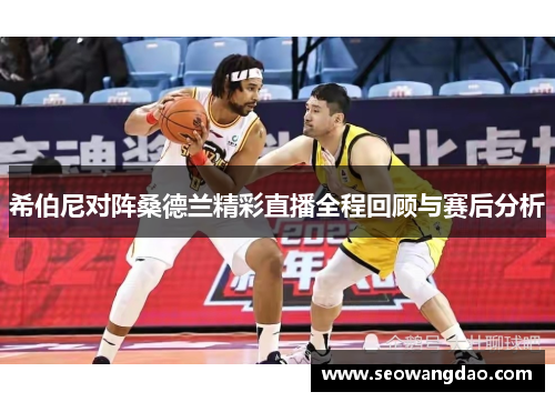 希伯尼对阵桑德兰精彩直播全程回顾与赛后分析