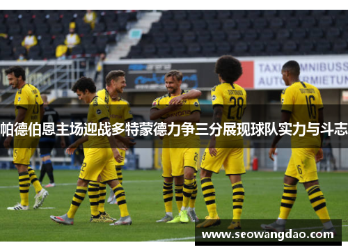 帕德伯恩主场迎战多特蒙德力争三分展现球队实力与斗志