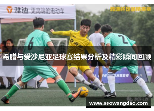 希腊与爱沙尼亚足球赛结果分析及精彩瞬间回顾